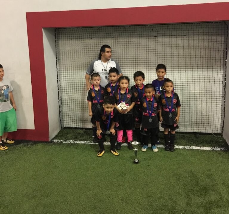 Soccer Field image 4