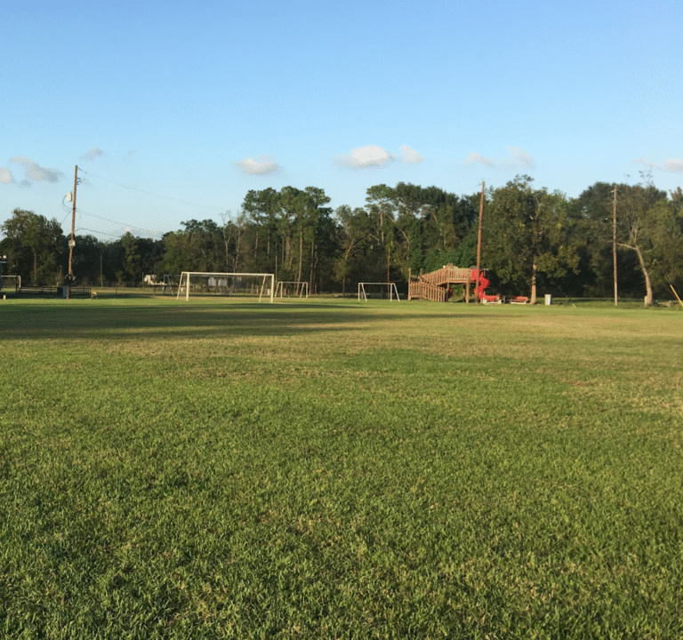 Soccer Field image 2