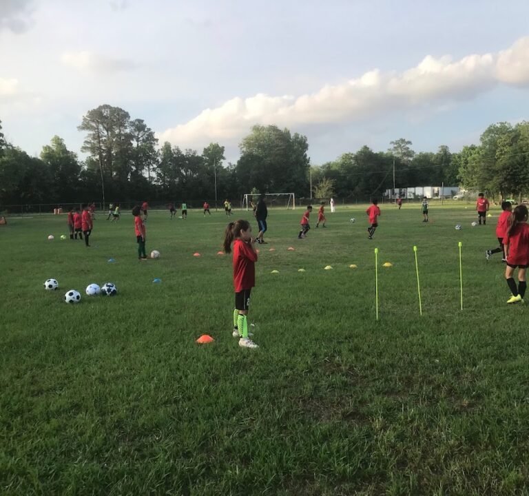 Soccer Field image 3