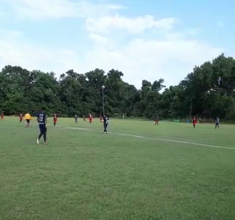 Soccer Field image 4