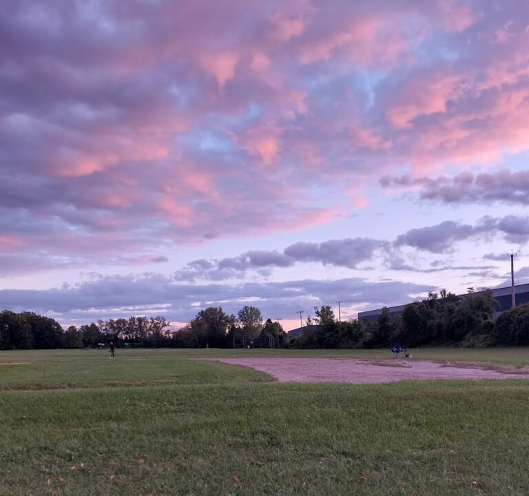 Soccer Field image 3