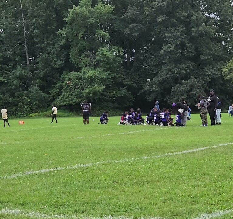 Soccer Field image 4