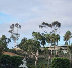 Soccer Field image 3