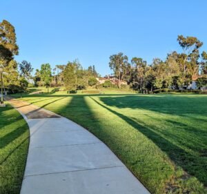 Soccer Field image 2