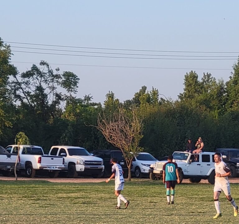 Soccer Field image 3