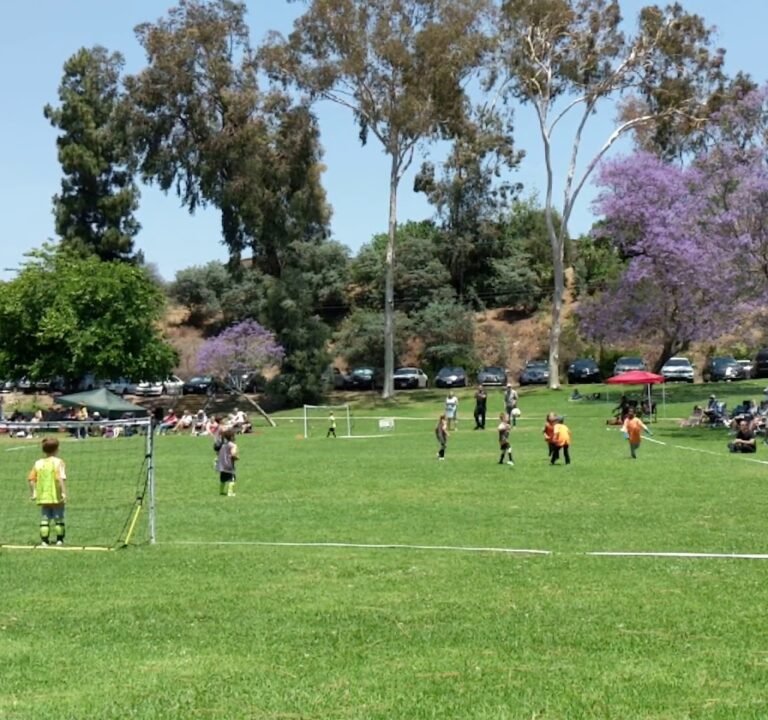 Soccer Field image 4