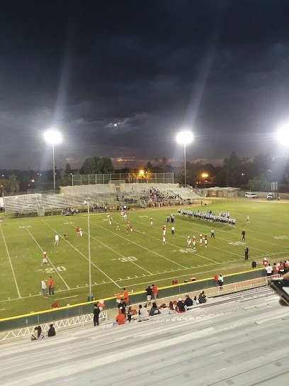 Soccer Field image 1