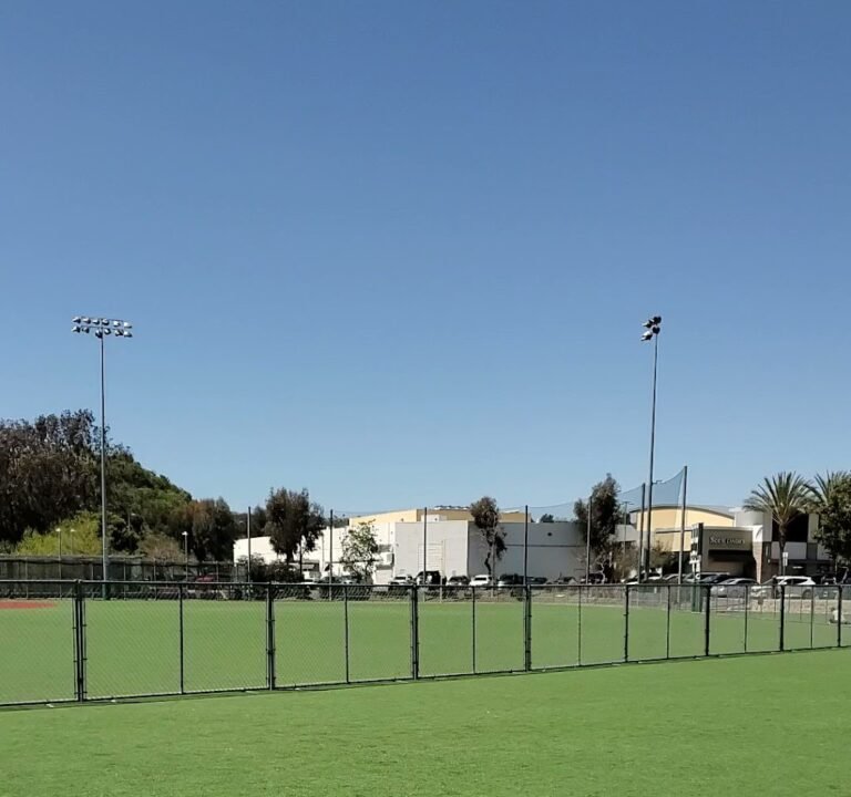 Soccer Field image 2