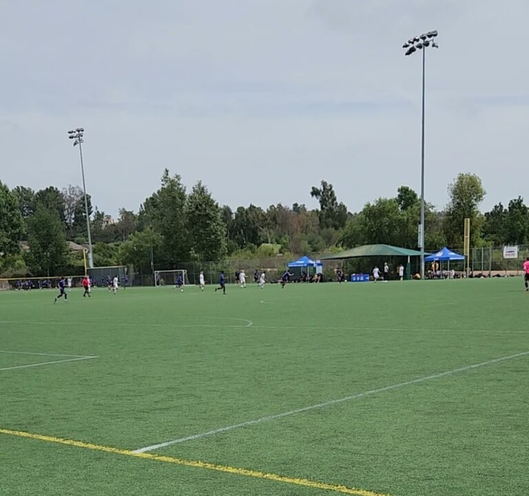 Soccer Field image 4