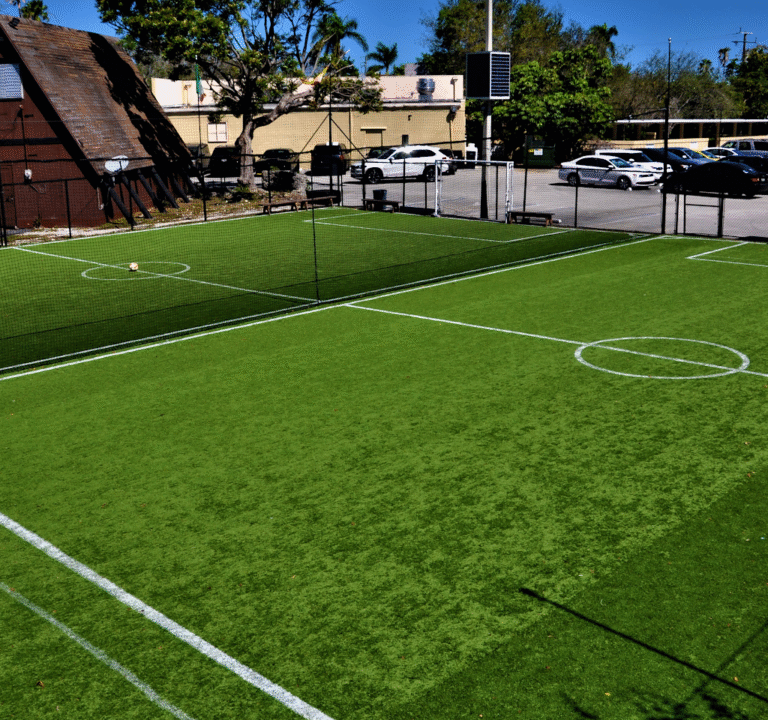 Soccer Field image 2