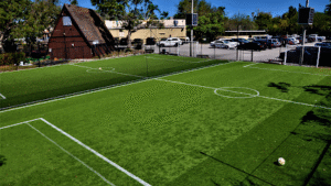 Soccer Field image 1
