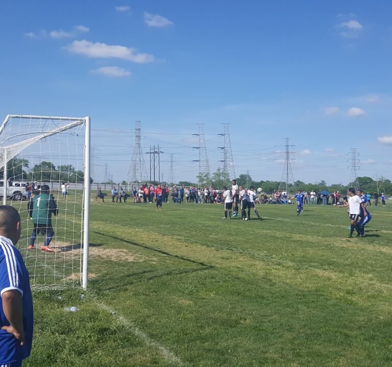 Soccer Field image 2