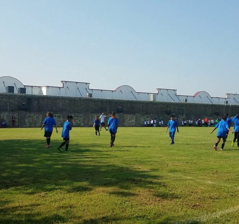 Soccer Field image 3