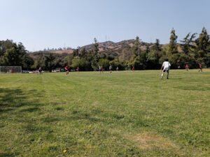 Soccer Field image 1