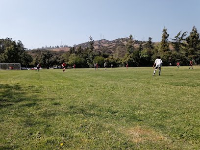 Soccer Field image 1