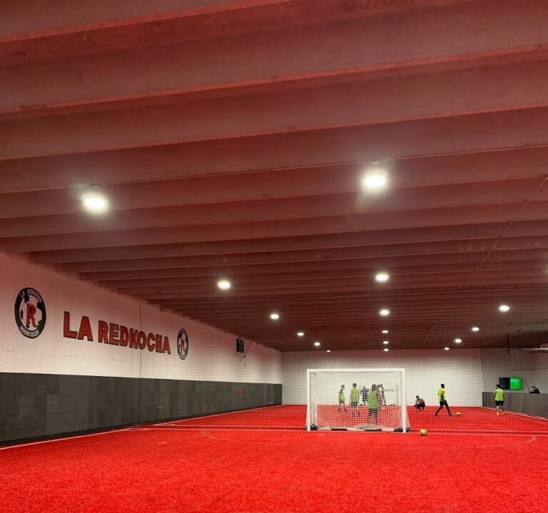 Soccer Field image 2