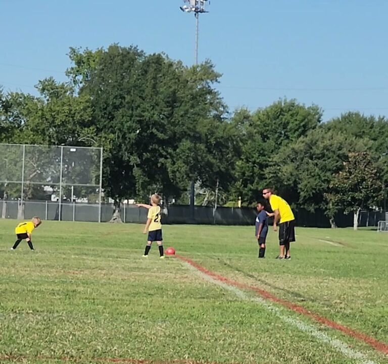 Soccer Field image 4