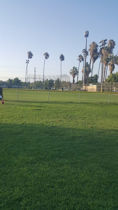 Soccer Field image 1