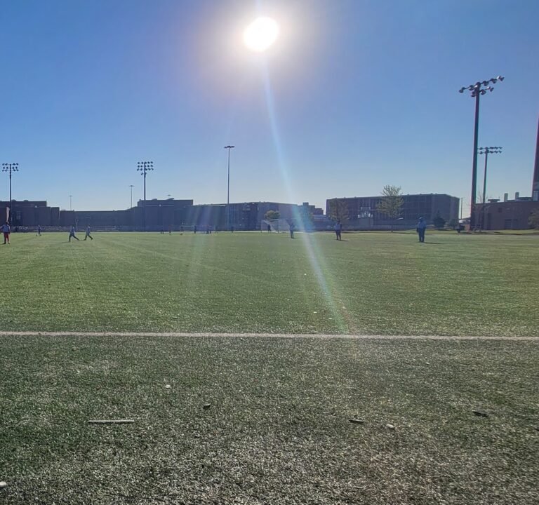 Soccer Field image 2