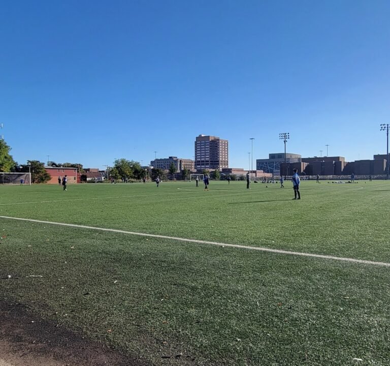 Soccer Field image 3