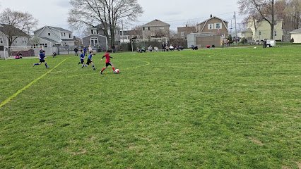 Soccer Field image 1