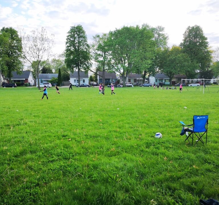 Soccer Field image 2