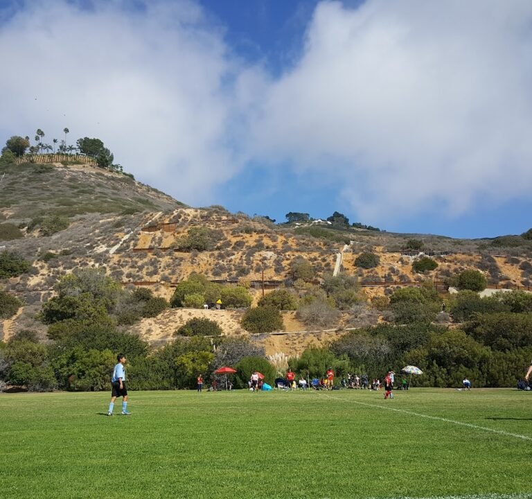 Soccer Field image 2