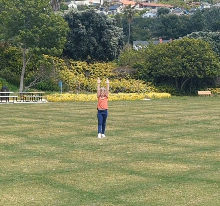 Soccer Field image 4