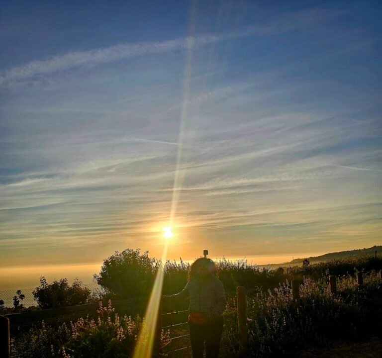 Soccer Field image 3