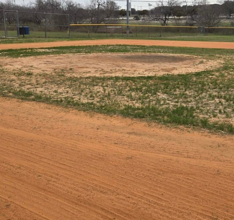 Soccer Field image 3
