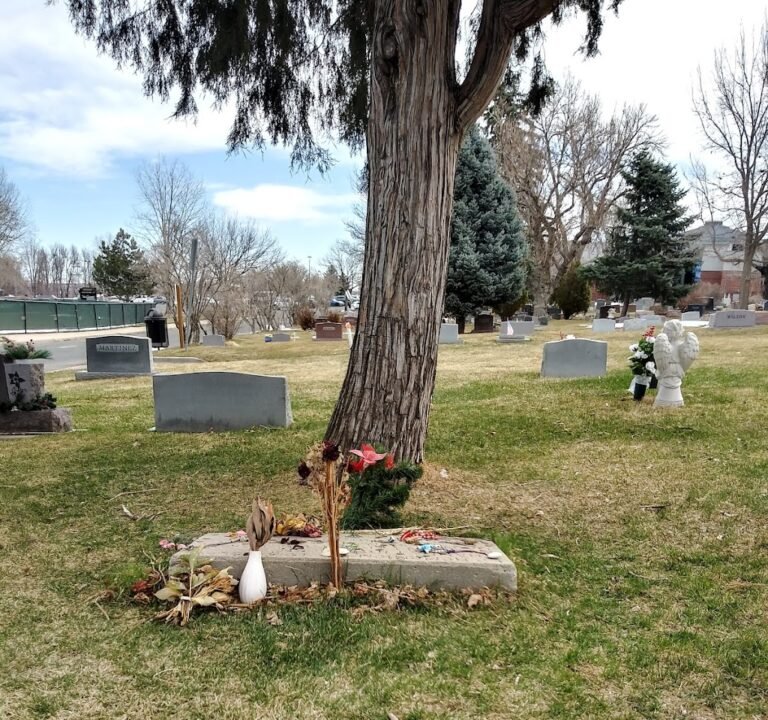 Soccer Field image 2