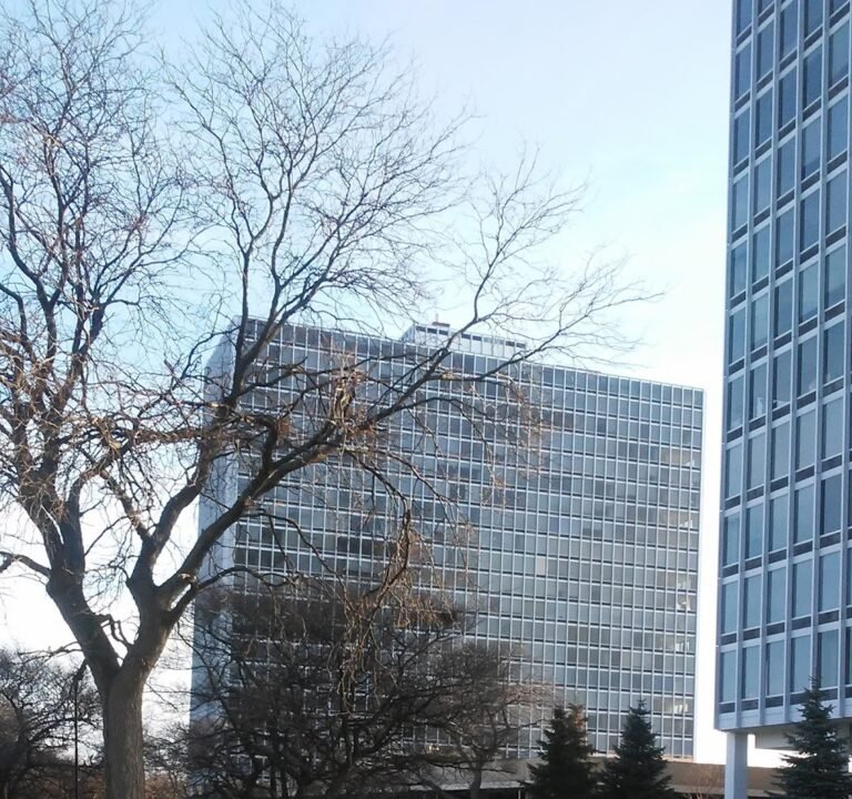 Soccer Field image 3