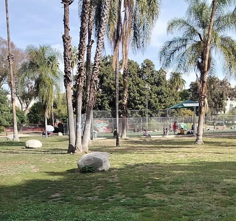 Soccer Field image 4