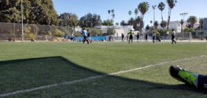 Soccer Field image 1