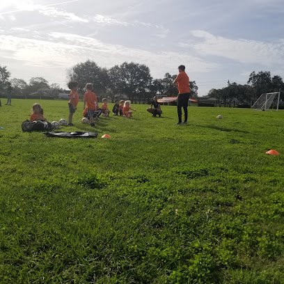 Soccer Field image 1