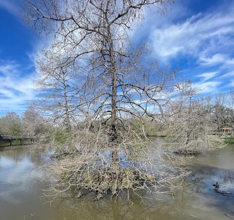 Soccer Field image 3