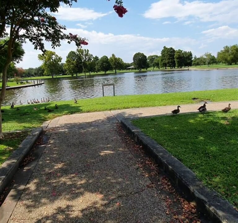 Soccer Field image 4