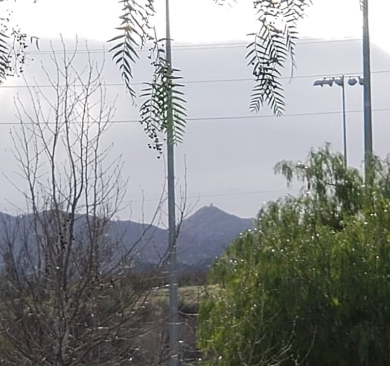 Soccer Field image 3