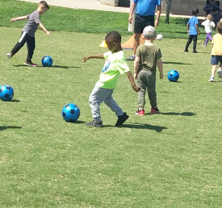 Soccer Field image 4