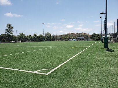 Soccer Field image 1