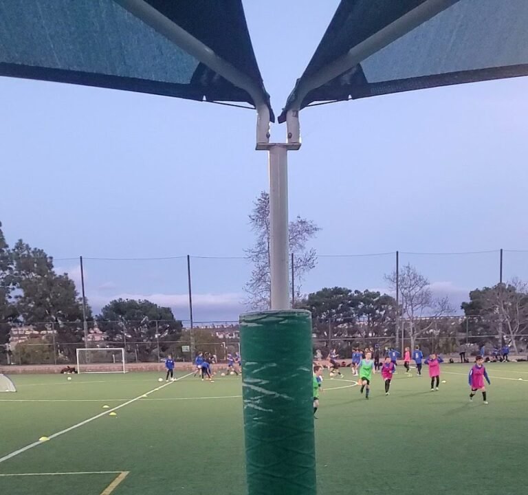 Soccer Field image 4