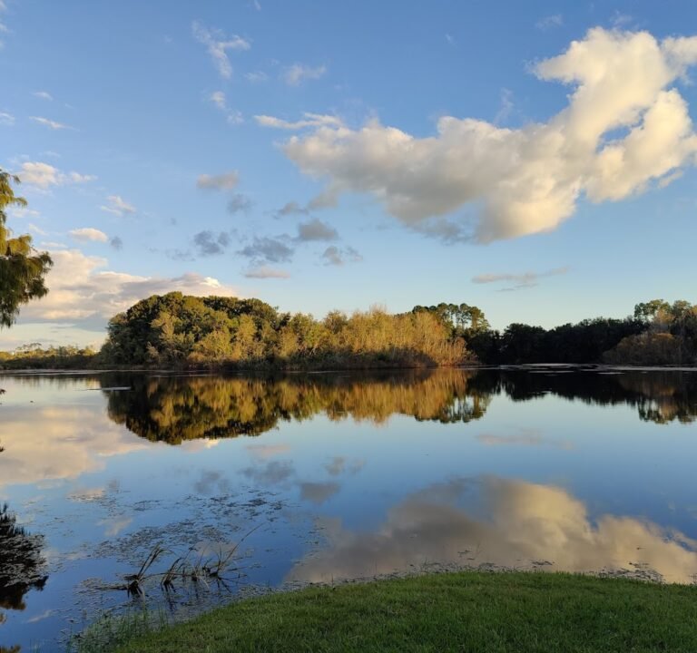Soccer Field image 2