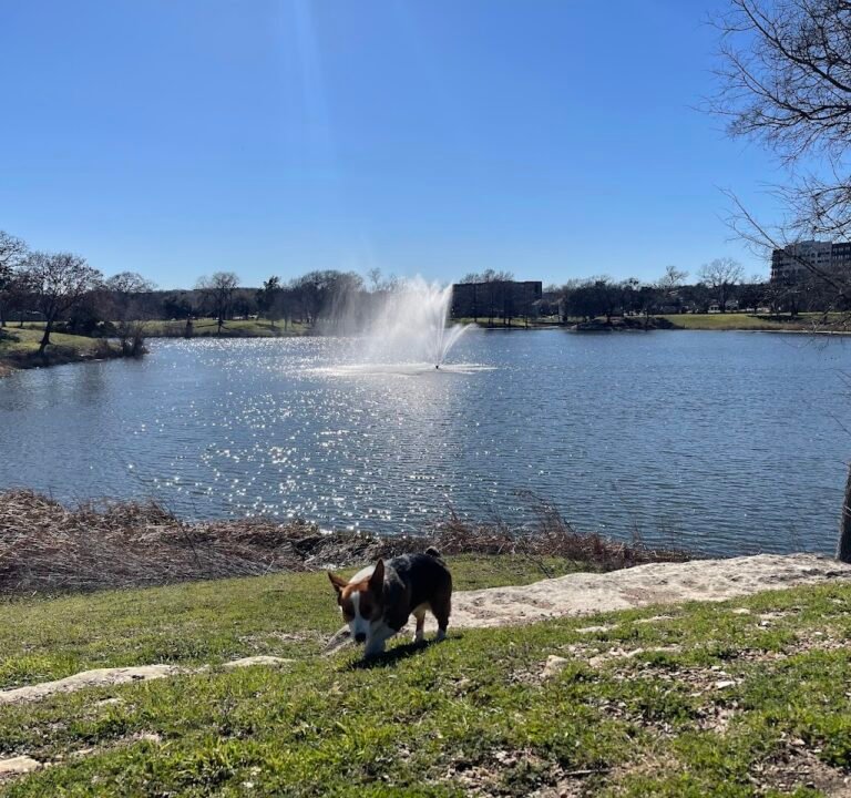 Soccer Field image 3