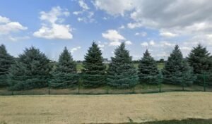 Soccer Field image 1