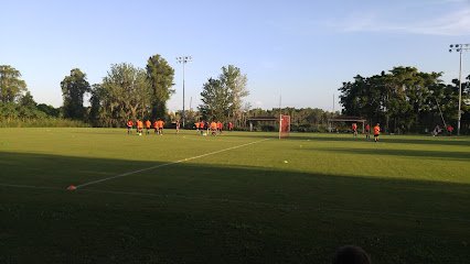Soccer Field image 1