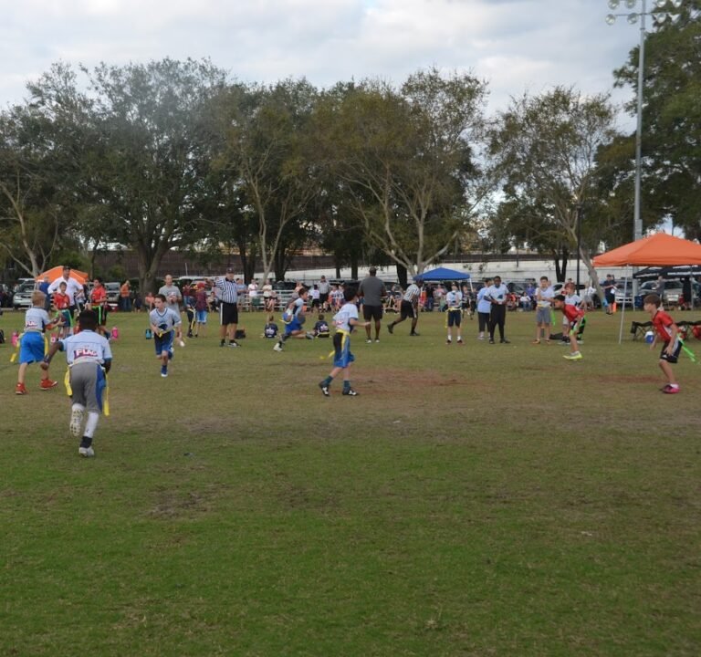 Soccer Field image 3