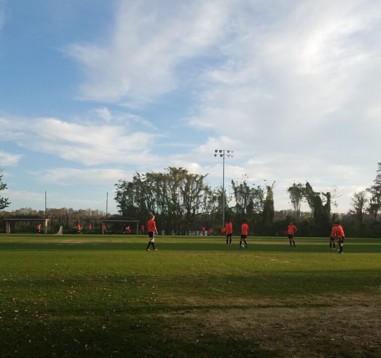 Soccer Field image 2