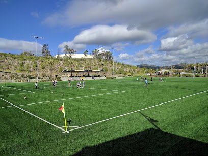Soccer Field image 1