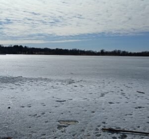 Soccer Field image 3