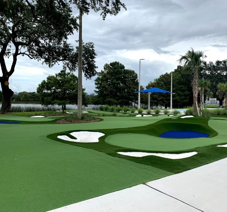 Soccer Field image 2